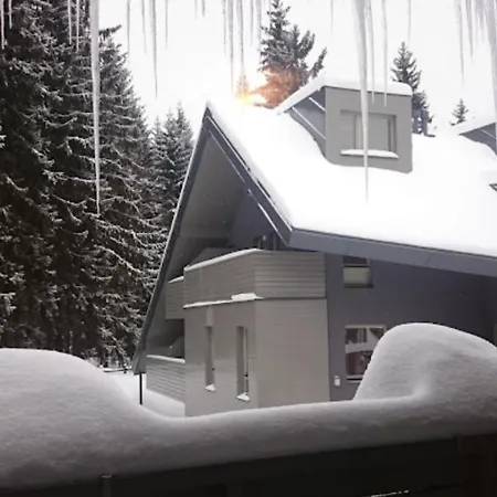 Wellness Apartmán Resident C206 - Studio 1kk S Kuchyní , Balkonem, Lyžárnou, Kolárnou A S Vlastním Parkovacím Stáním Přímo V Resortu Harrachov