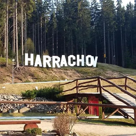 Wellness Apartmán Resident C206 - Studio 1kk S Kuchyní , Balkonem, Lyžárnou, Kolárnou A S Vlastním Parkovacím Stáním Přímo V Resortu *